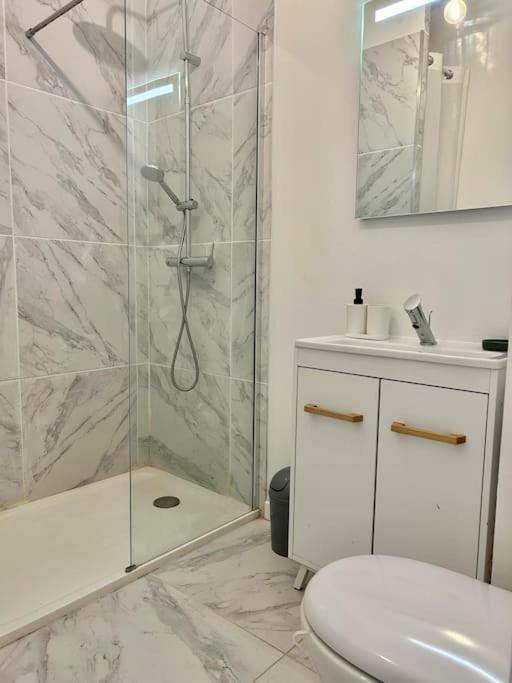 T2 , Hypercentre , Fibre ,gare Apartment